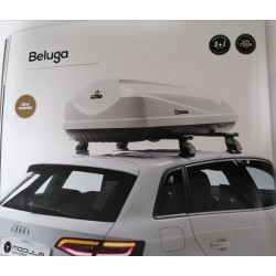 Box Baule Portautto Modula Beluga Lt 460. Bianco Lucido